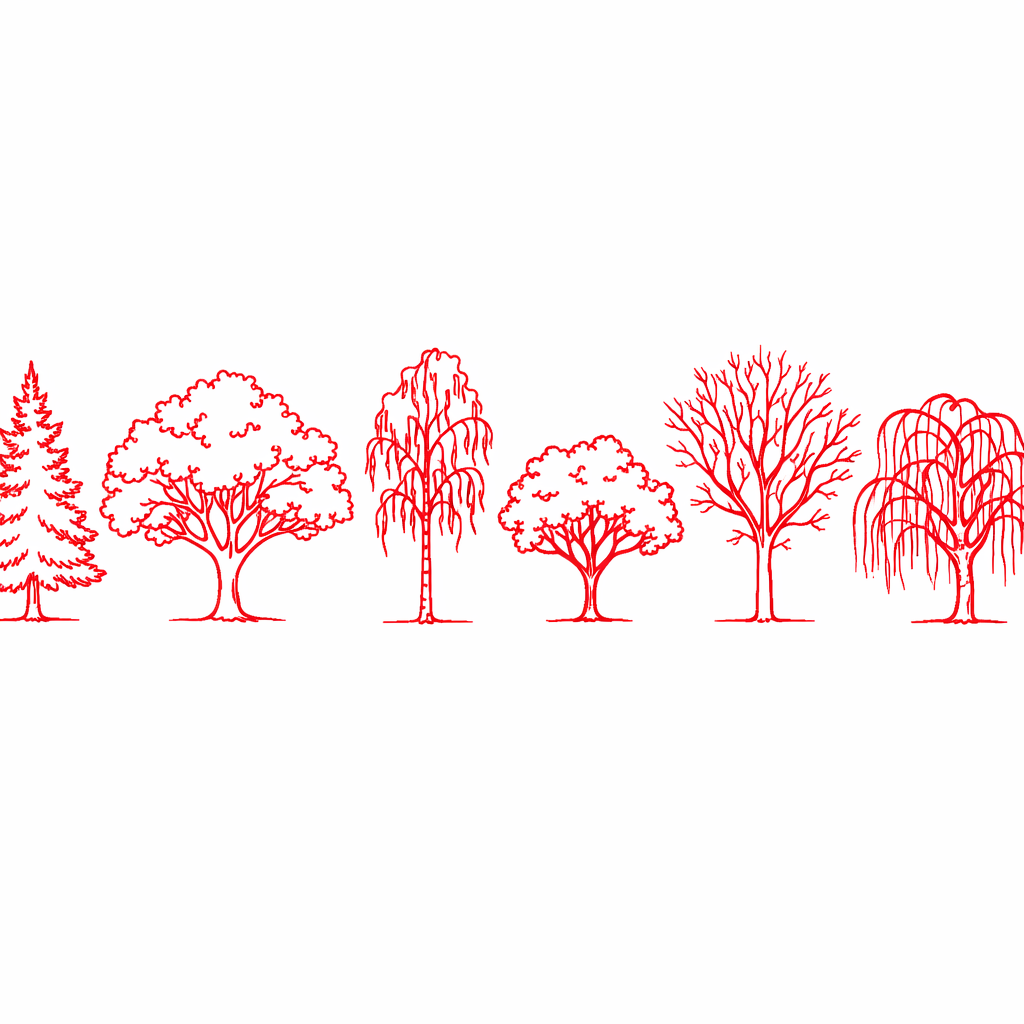 SAP for your greenfield site 